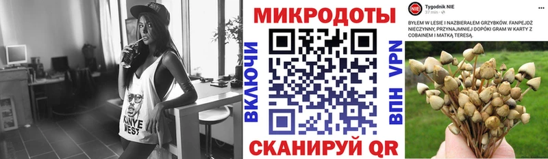 blacksprut ссылка  Цивильск  Галлюциногенные грибы Cubensis  наркота 